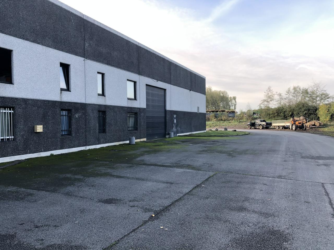 Local d'activité Templeuve 1100m² Location local d'activité Templeuve Nord OLACT2116497 0
